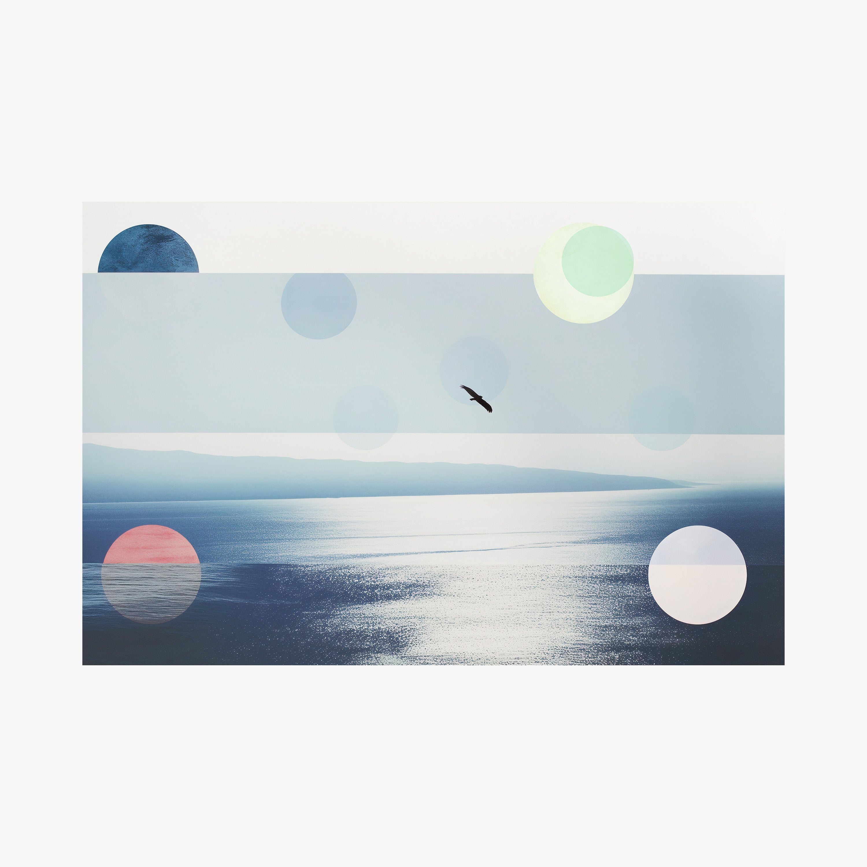 Framed poster featuring an ocean scene with a bird flying hanging on a light background