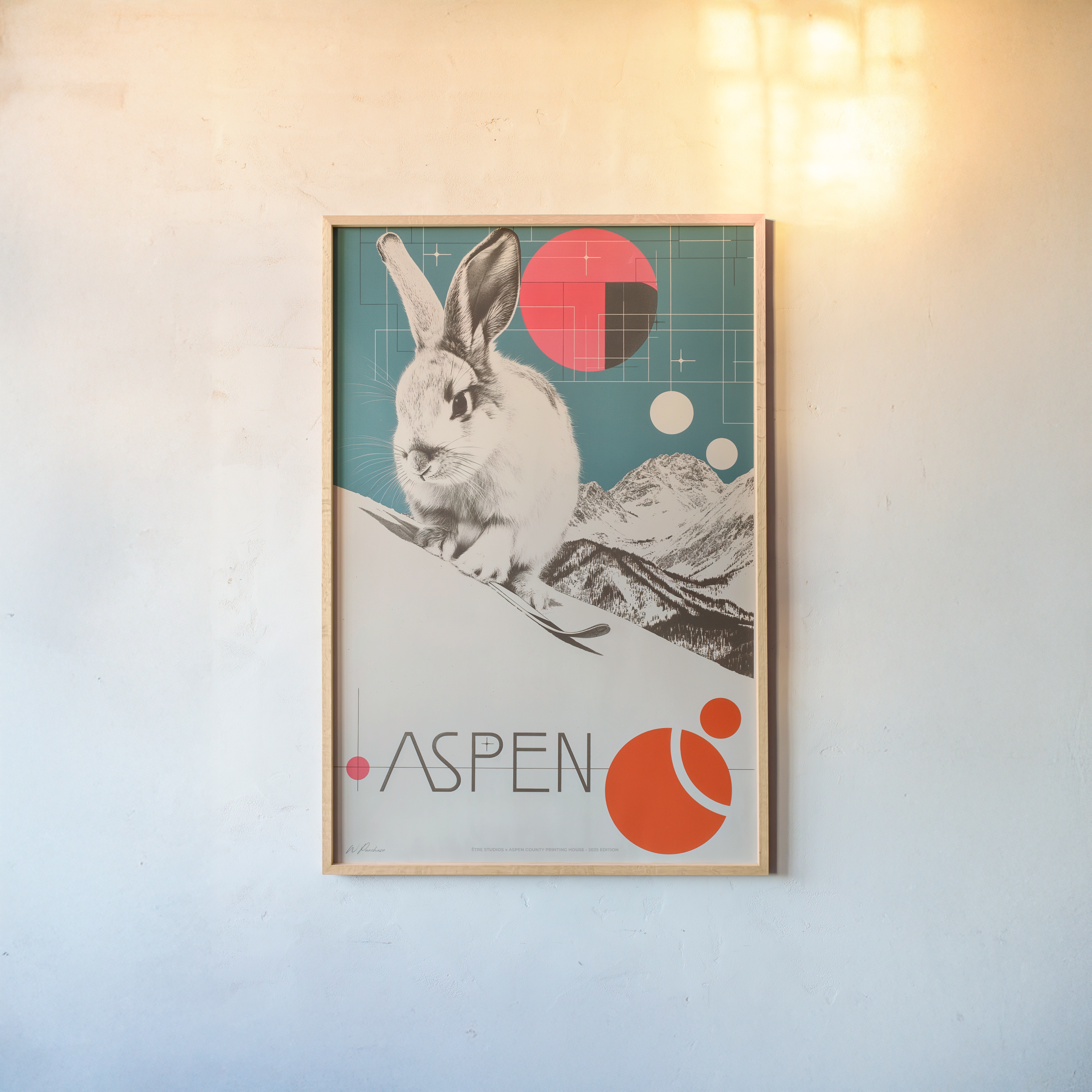 Lapin de ski Aspen - N° 2