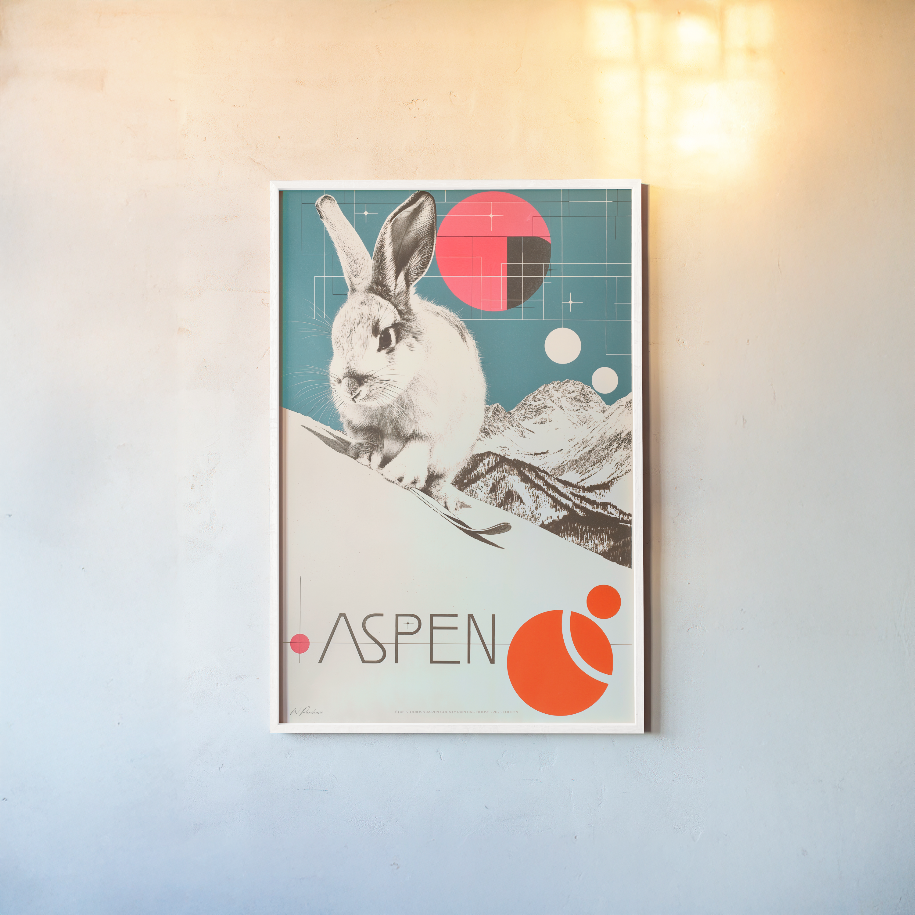 Lapin de ski Aspen - N° 2