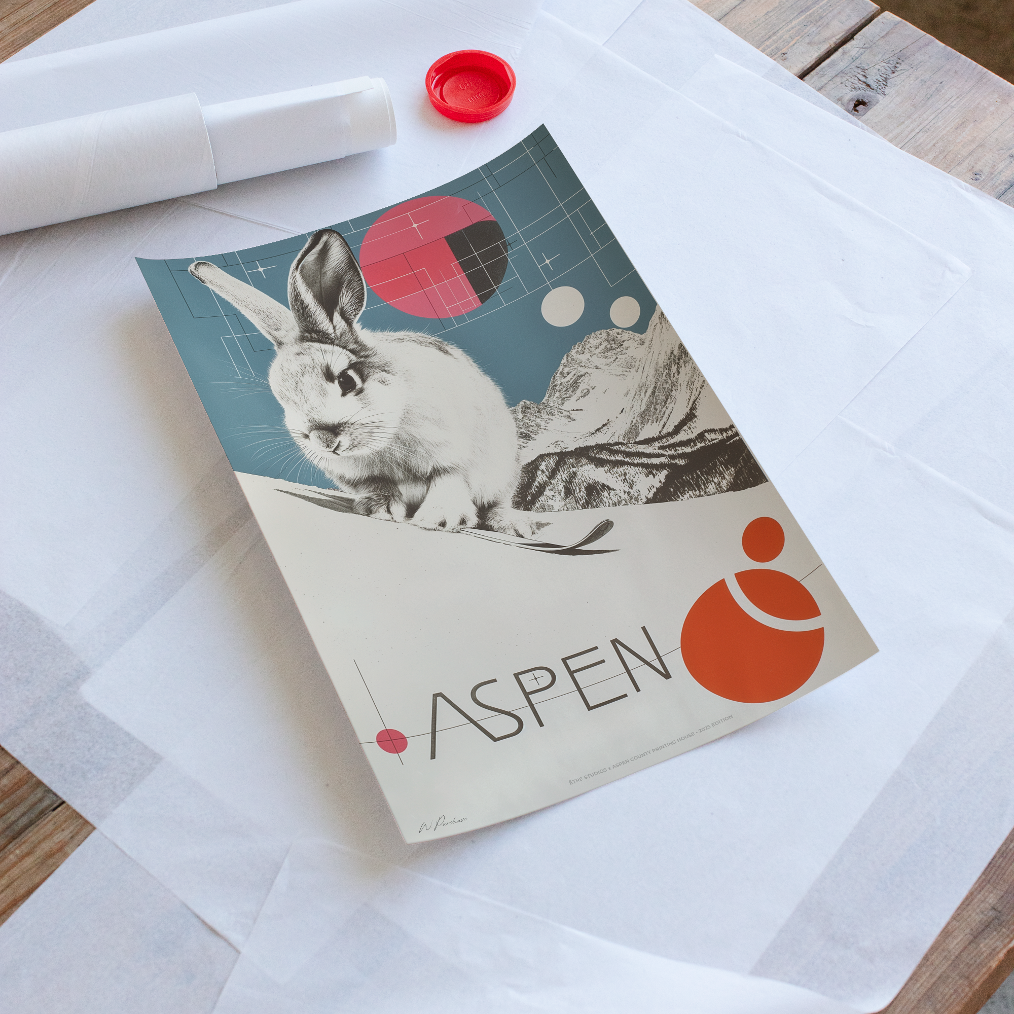 Lapin de ski Aspen - N° 2
