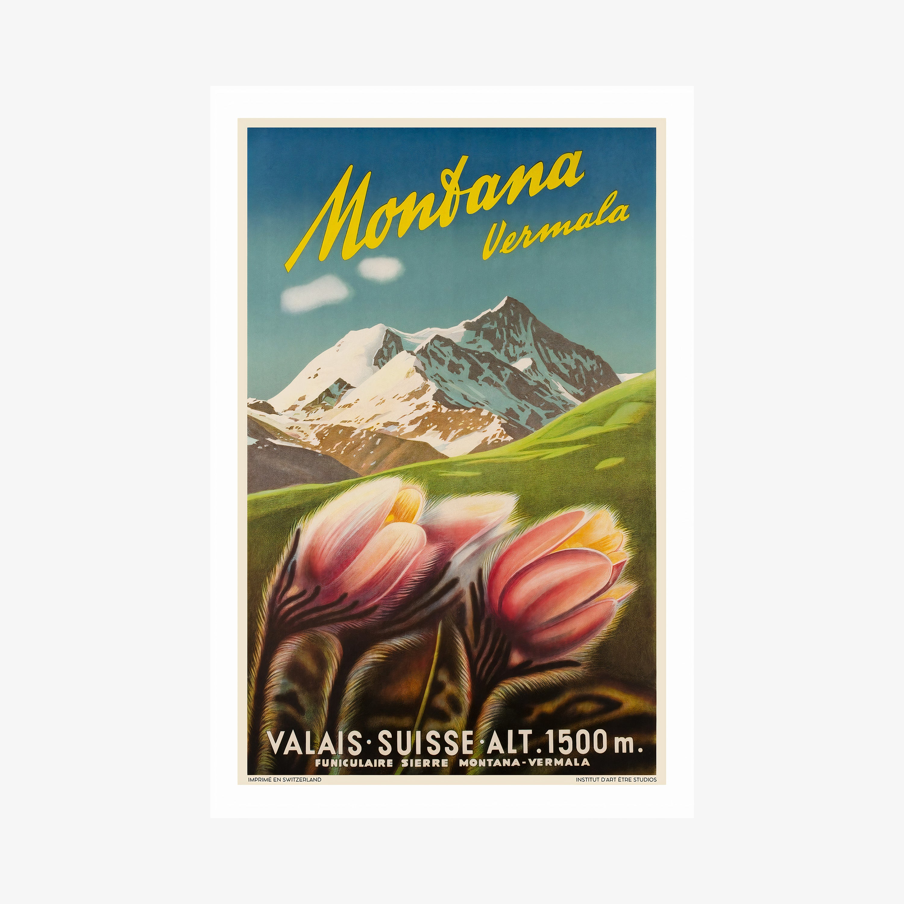 Poster of a mountain and flowers with 'Montana Vermale' text on a wall.