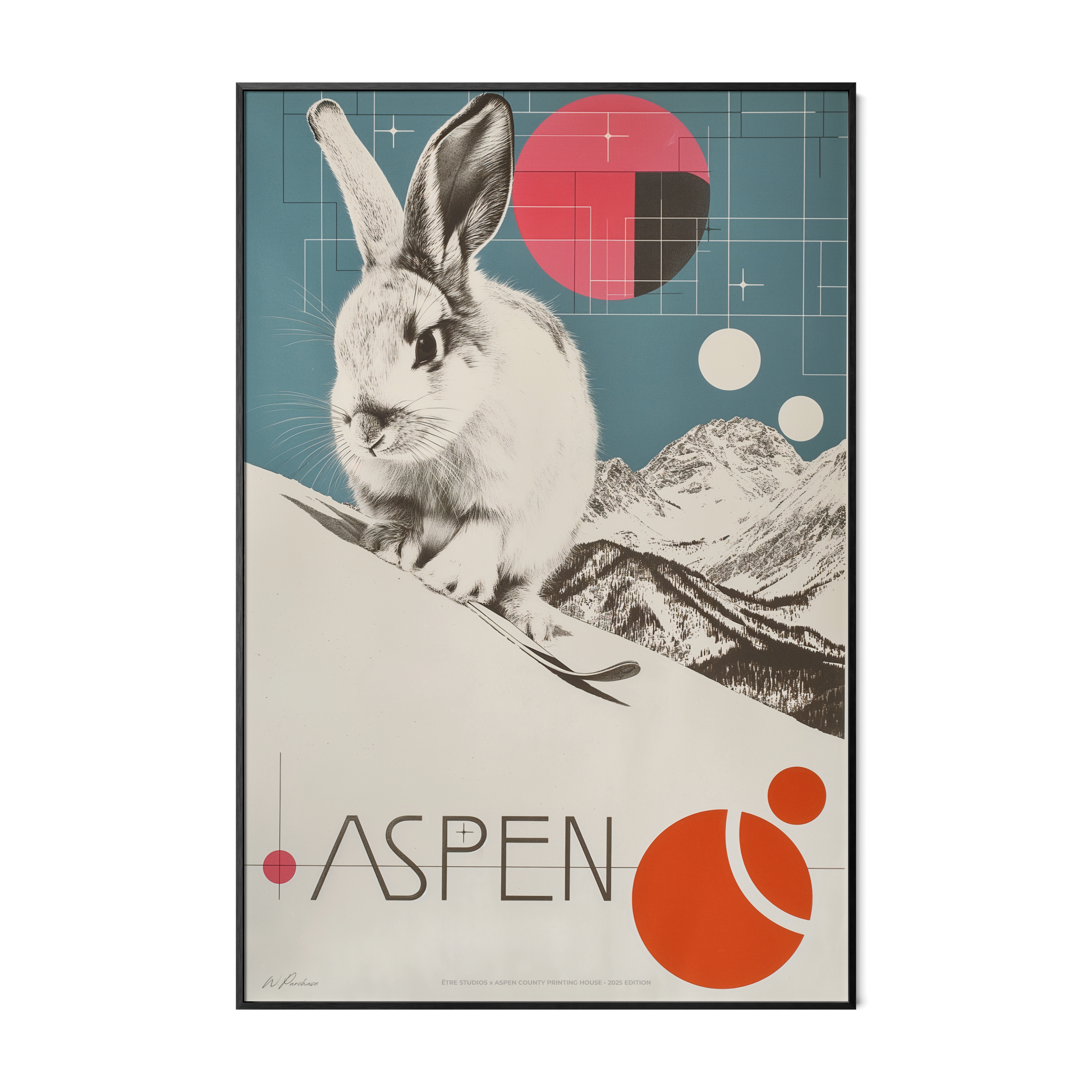 Lapin de ski Aspen - N° 2