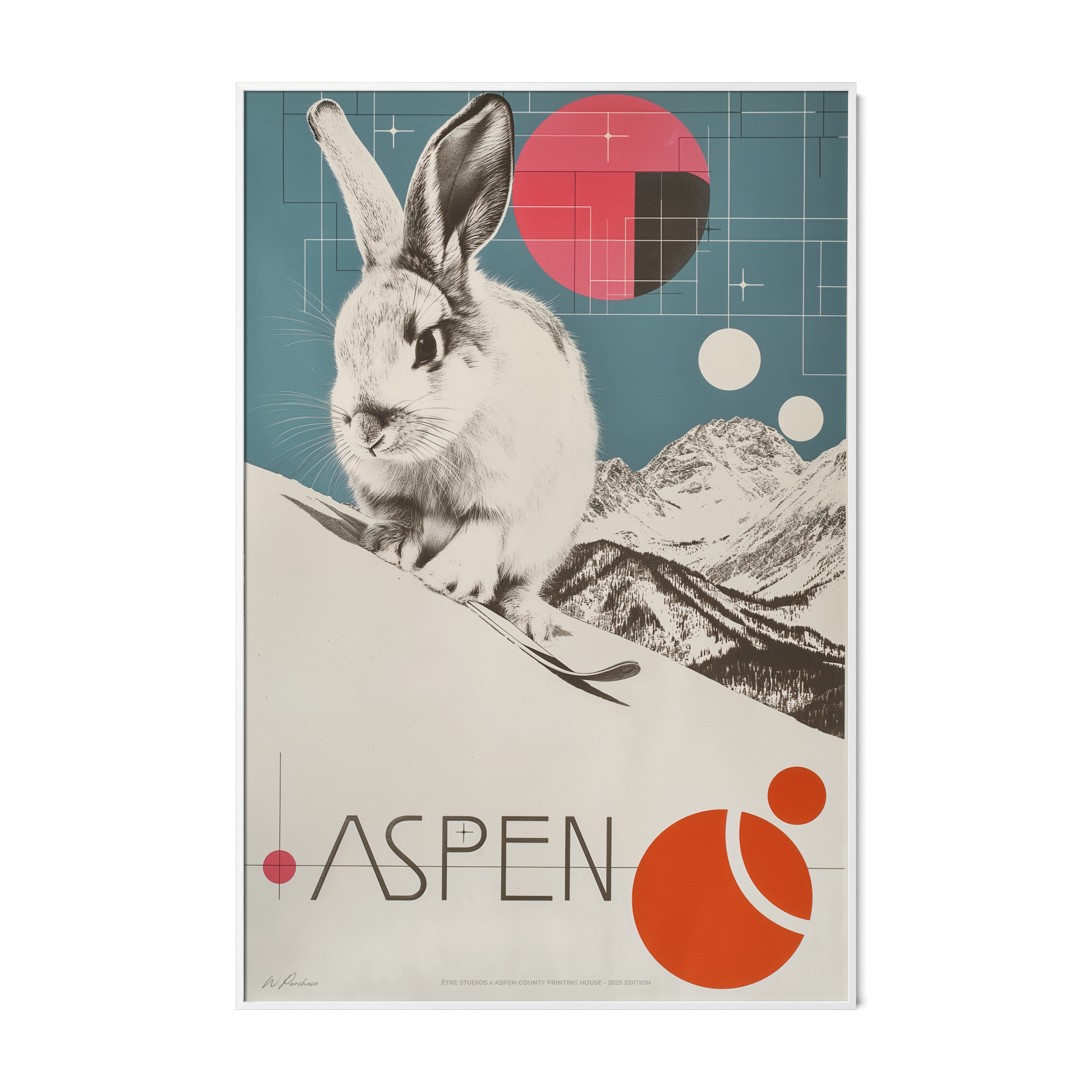 Lapin de ski Aspen - N° 2